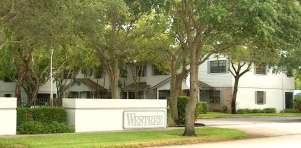 Westree in Plantation Florida